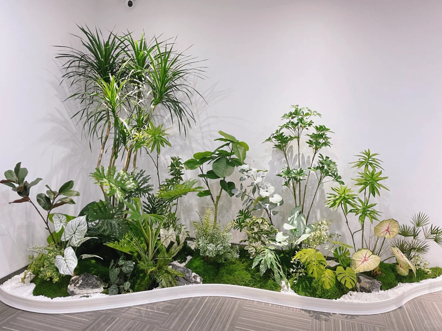 余姚植物租摆哪家强？优质服务超棒超乎想象！